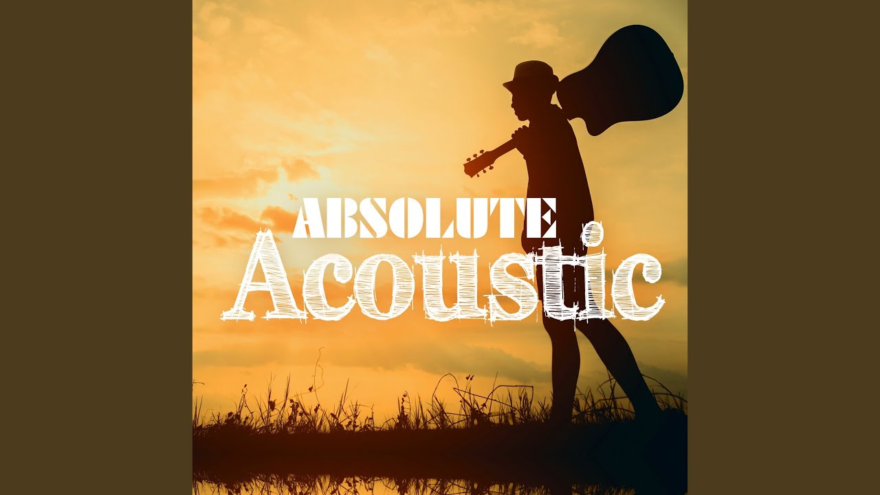 Vance joy. Absolute acoustic. Акустика слово. Absolute acoustic. Sagi rei - ill fly with you !.