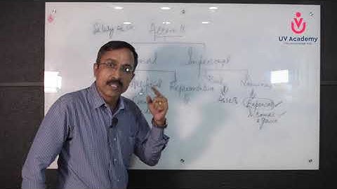 Neo Rays Academy - Statistical Assistant Gr II - Commerce - Demo Class 1