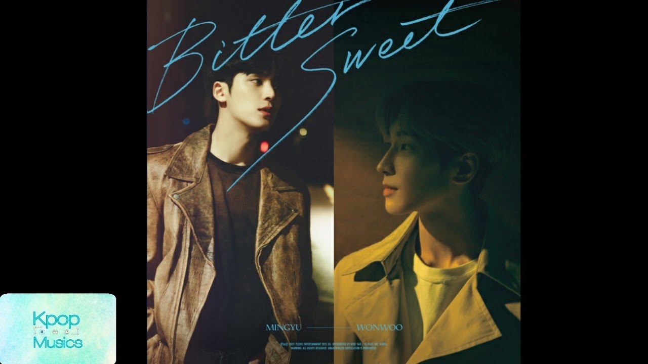 seventeen ビタスイ　we make you ideal cut ウォヌ WONWOO X MINGYU (원우 X 민) - Bittersweet (feat. Lee Hi (이하이