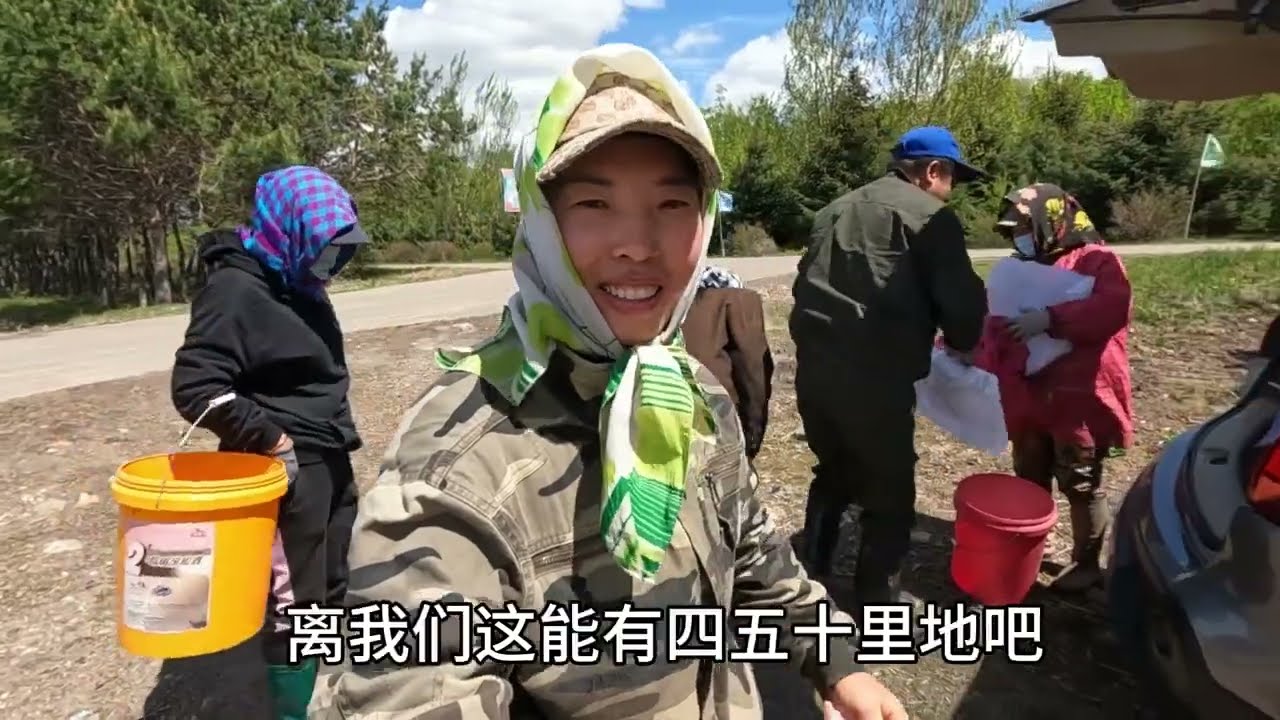 一行五人来山里采野菜，新出的猴腿菜一人采半桶，大自然的馈赠 