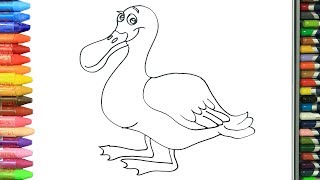 Learn Colors with Coloring Book platypus | How to Draw and Color KidsTV