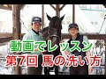 【動画でレッスン】第7回 馬の洗い方｜神戸市明石市乗馬クラブ明石乗馬協会