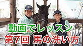 動画で乗馬レッスン 第1回慧の頭絡の付け方 神戸市明石市乗馬クラブ明石乗馬協会 Youtube 動画で乗馬レッスン 第1回慧の頭絡の付け方 神戸市明石市乗馬クラブ明石乗馬協会 Youtube