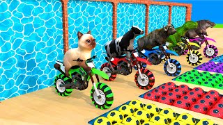 Choose motorbike to cross the lake with Cow, Baby Duck, Cat, Buffalo, Dinosaur, Rhinoceros