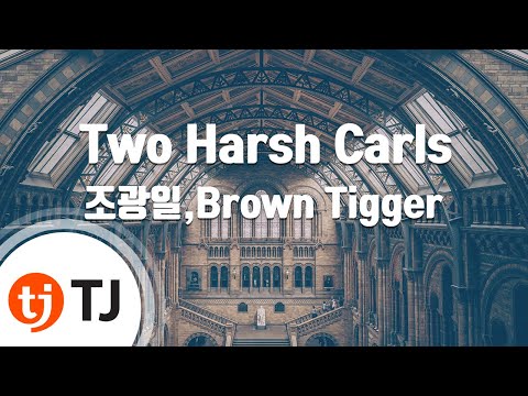 [TJ노래방] Two Harsh Carls - 조광일,Brown Tigger / TJ Karaoke