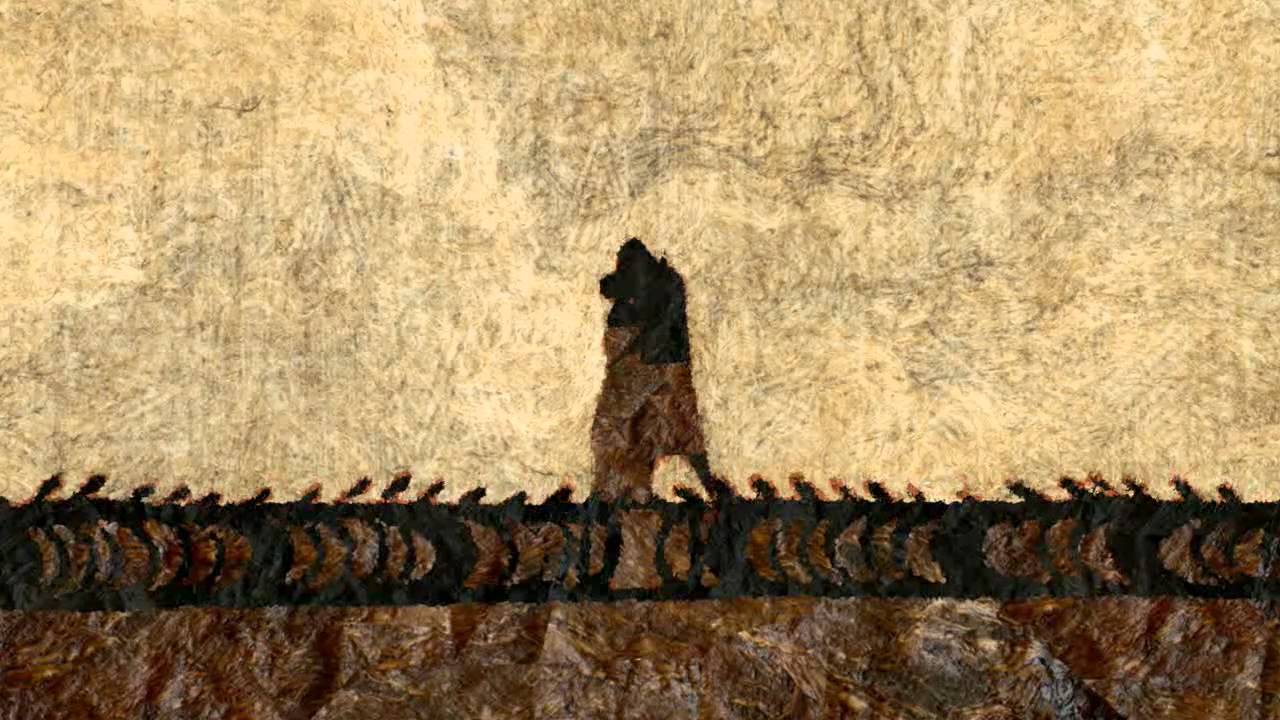 The Turtle and The Shark