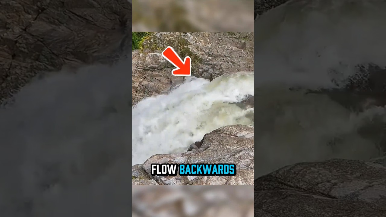 The River That Flows Backwards