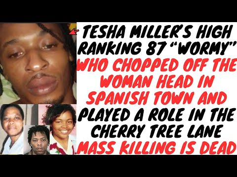 Police KlLL Tesha Miller's Main SH00TER "Wormy" In Gravel Heights After He Evaded Them For Months