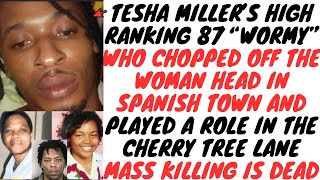Police KlLL Tesha Miller's Main SH00TER 'Wormy' In Gravel Heights After He Evaded Them For Months