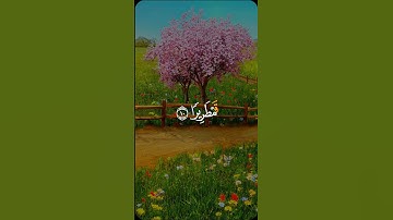 قرآن كريم (إنما نطعمكم لوجه الله)