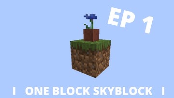 One Block Skyblock Timelapse Ep 1 - Season 1