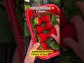 UNIK BANGET! STROBERI BIJINYA DI LUAR 😍🍓 #shortvideo #faktaunik #buah #buahbuahansegar