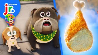 turkey run dog days out netflix jr