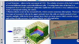 Science 10 Biology: Multicellularity Part 2