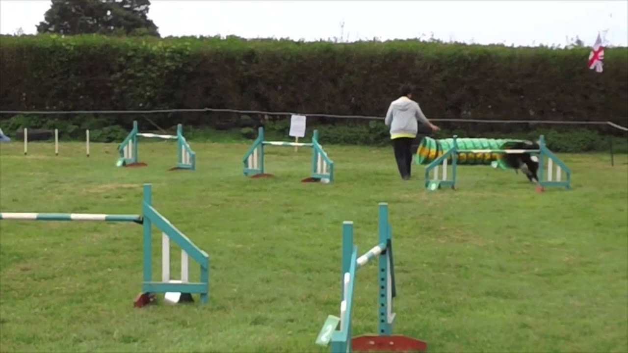 Jersey European Agility Festival 2015 Trailer YouTube