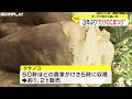 大行列で開場早める...3年ぶりの『内川たけのこまつり』毎回恒例の天ぷら等は持ち帰りのみに 金沢