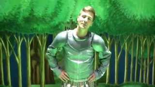Matt Evers stars at Sir Not Appearing in Spamalot