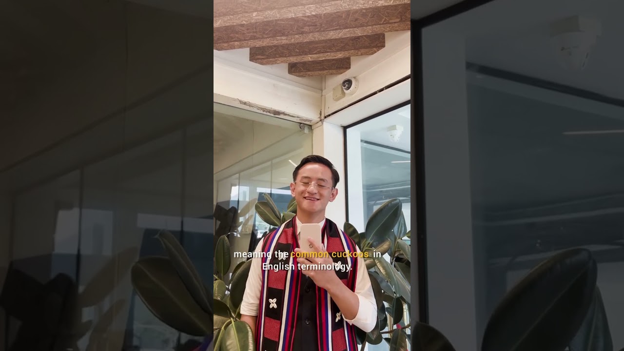 Неделя влияния колледжа Тетсо 2026 | Племенная организация