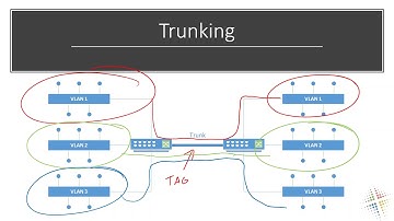 Palo Alto VLAN Trunking and SubInterfaces