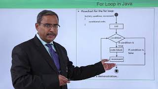 Java Essentials - For loop in java Profile