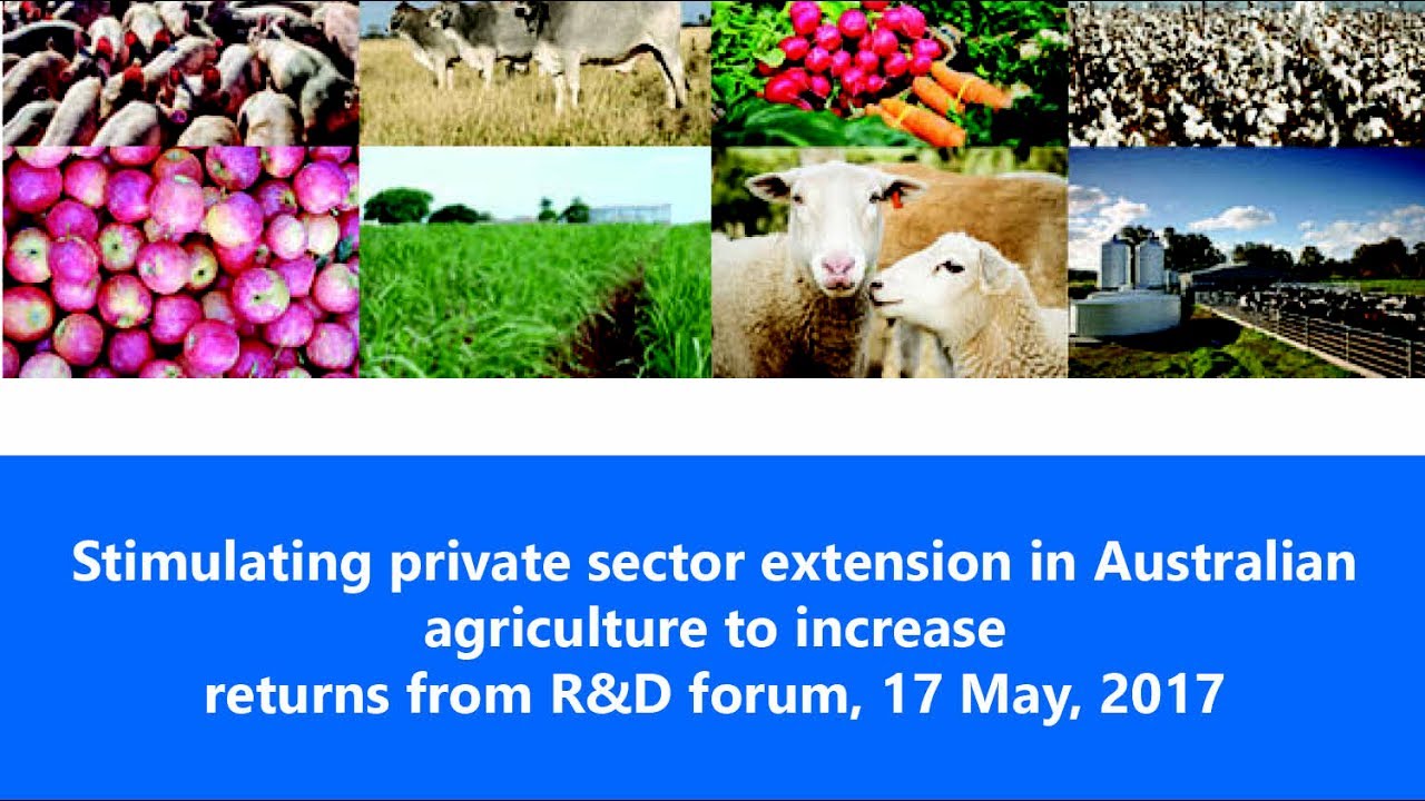 Presentation by Ian Halliday, Dairy Australia