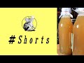 自家製アップルサイダーヴィネガー醗酵中！！仕込んでから3日後の状態 #Shorts
