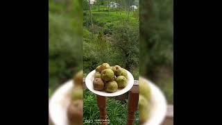 Dream House Lodge | Dream House Lodge