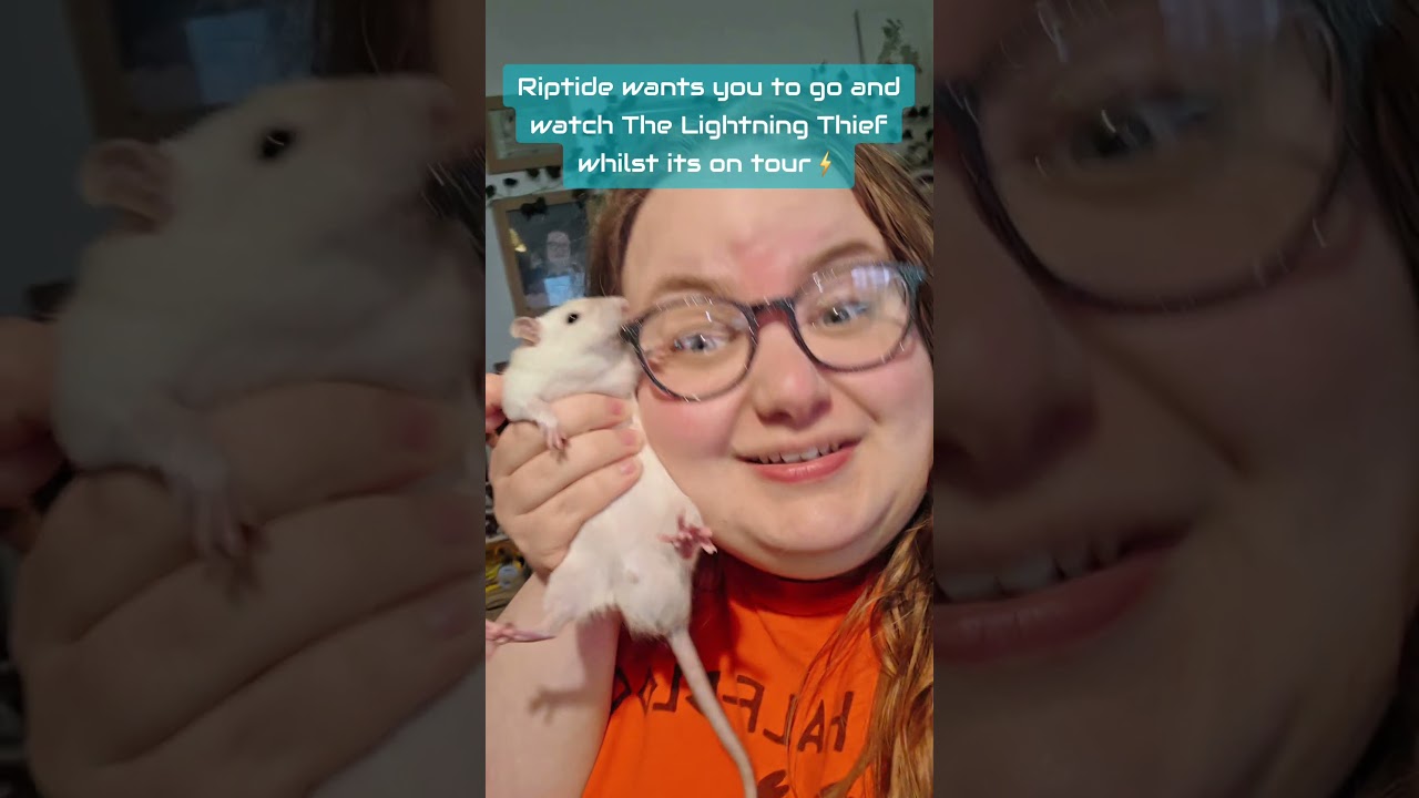 you should go and see it! 