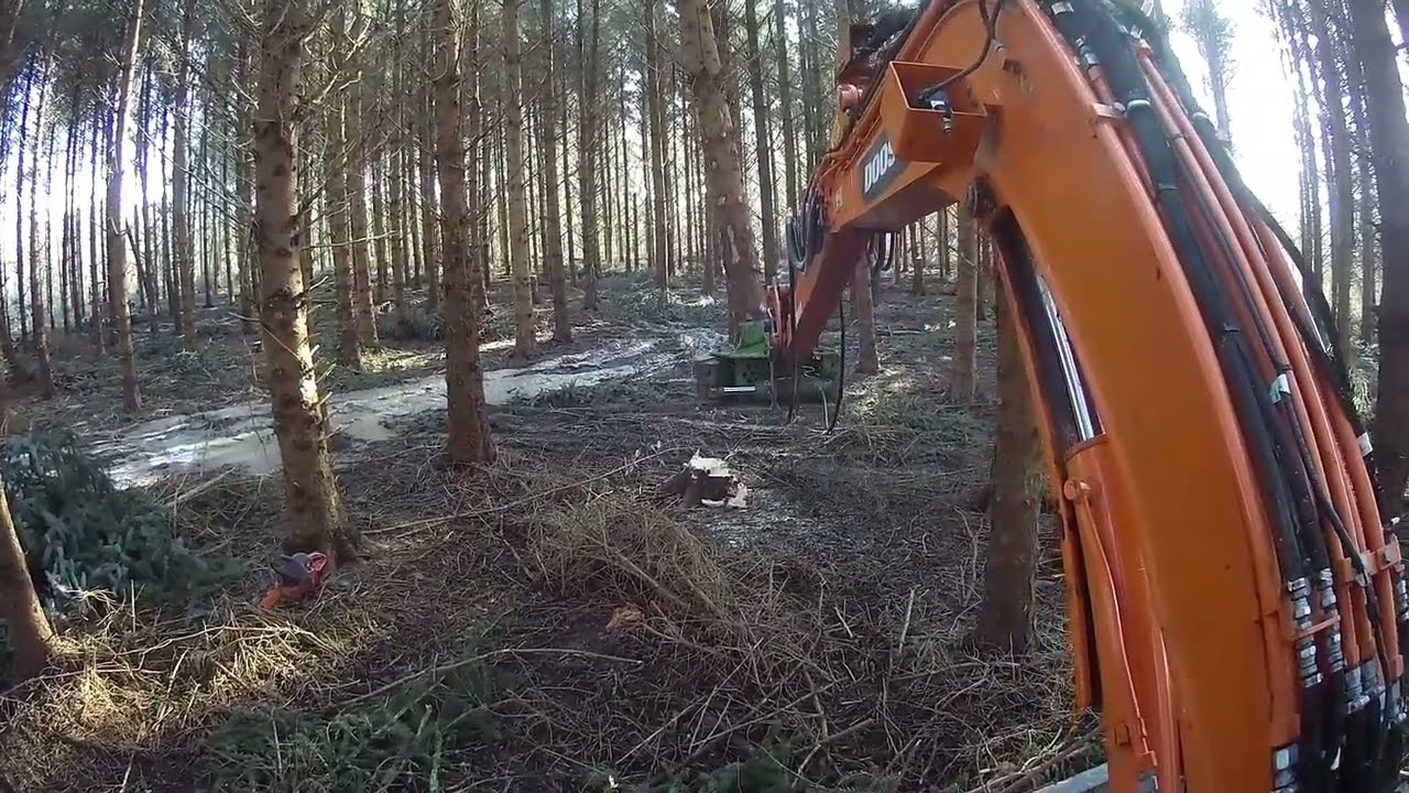Tree shearing whole trees.