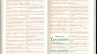 BIBLIA EN AUDIO  HECHOS CAP 7