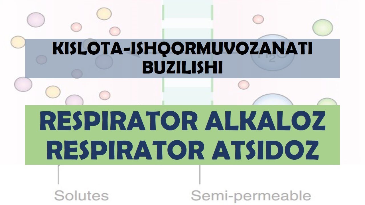 𝙺𝙸𝚂𝙻𝙾𝚃𝙰 - 𝙸𝚂𝙷𝚀𝙾𝚁 𝙼𝚄𝚅𝙾𝚉𝙰𝙽𝙰𝚃𝙸 | 𝚁𝙴𝚂𝙿𝙸𝚁𝙰𝚃𝙾𝚁 𝙰𝙻𝙺𝙰𝙻𝙾𝚉 𝚅𝙰 𝙰𝚃𝚂𝙸𝙳𝙾𝚉