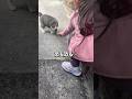 産まれた時から猫達と一緒に育った5歳児。こーゆう行動を取るようになりました。 #cat #保護猫