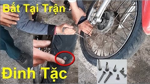 Rải Đinh Hành Nghề Vá Xe Thay Săm Lốp Và Cái Kết Cho Kẻ Mất Hết Lương Tâm, PHUONG NAM TV