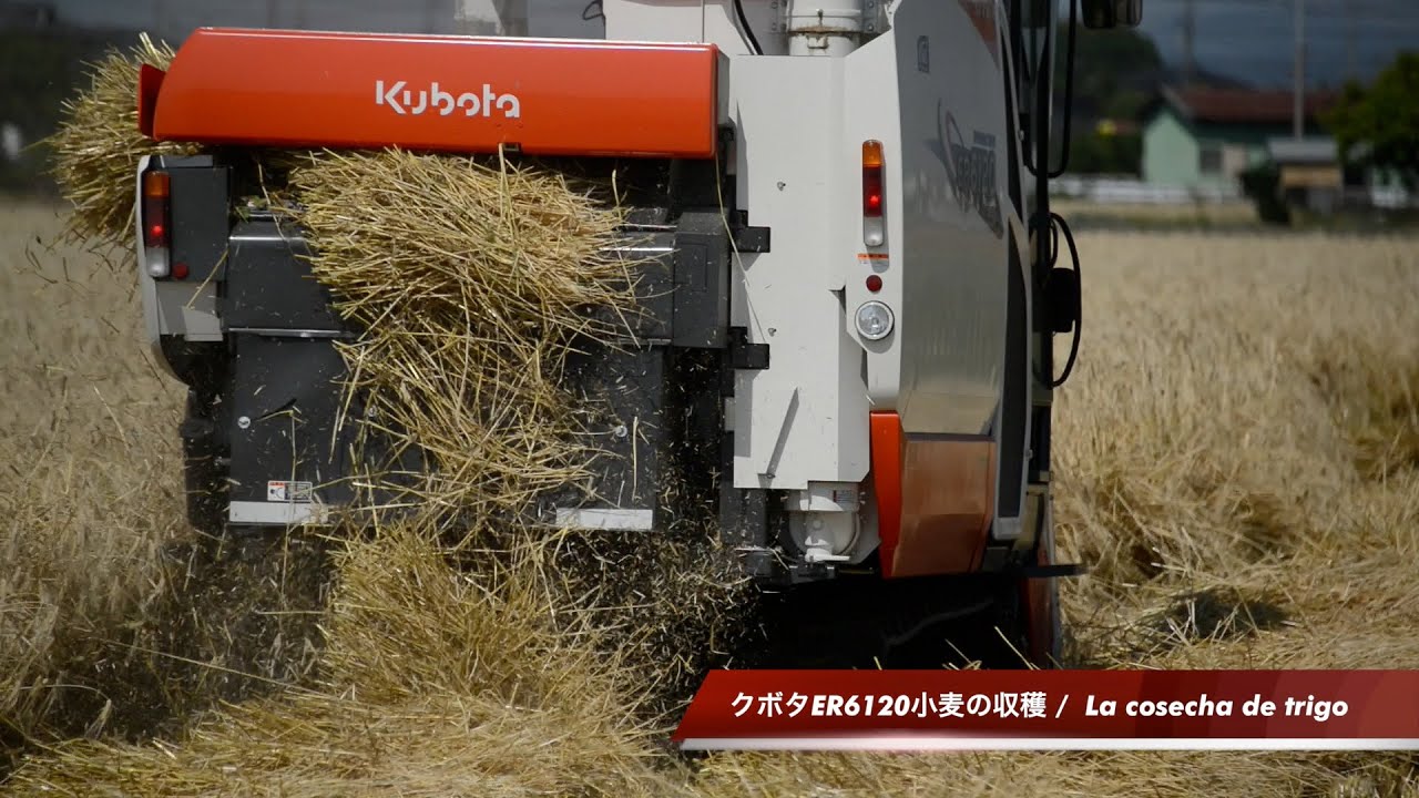 初めて見た麦刈り。クボタ ダイナマックスレボER6120 | 水戸市大場町