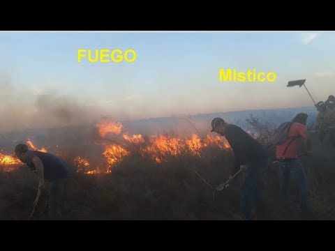 Video: Suvi Mehhikos Baja California Suris - Matador Network