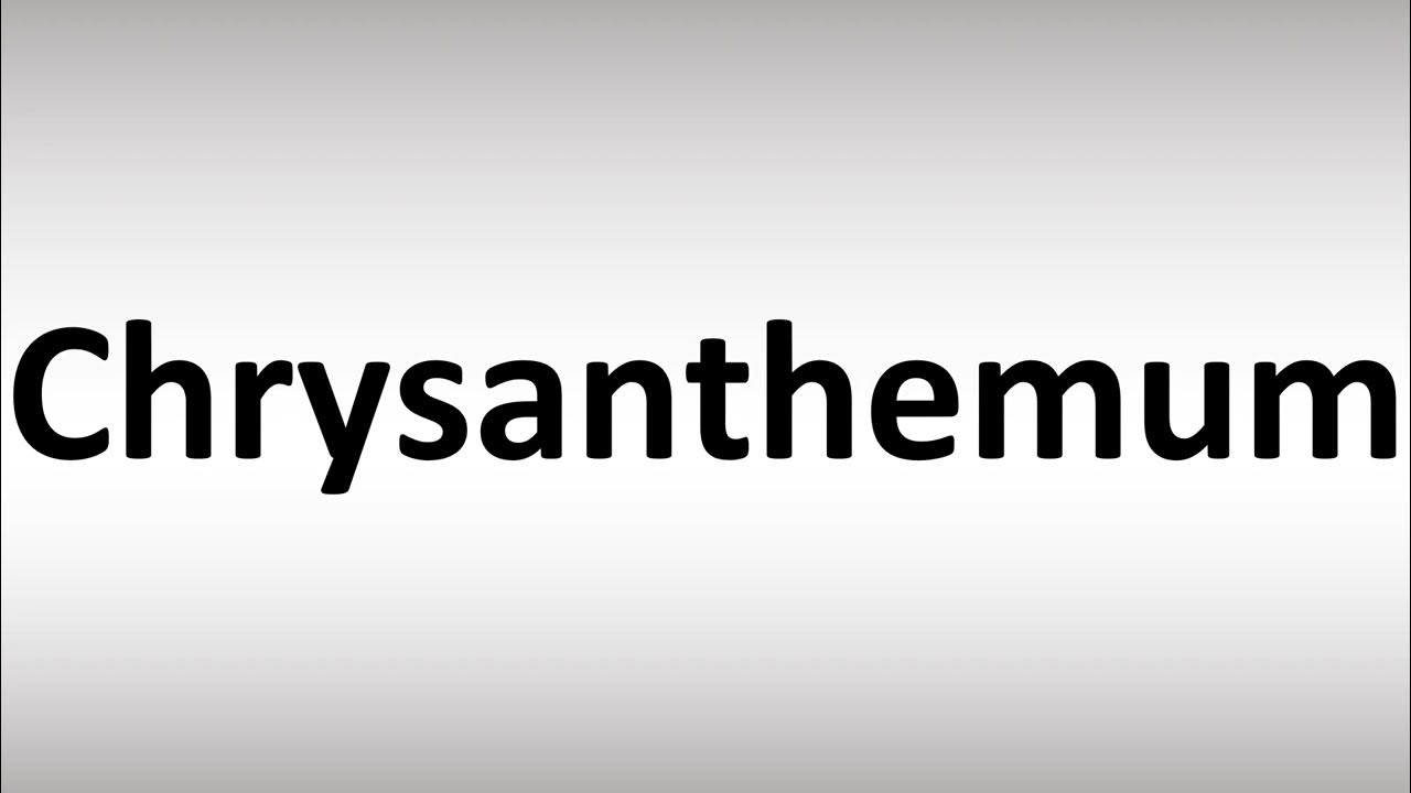 How to Pronounce Chrysanthemum YouTube