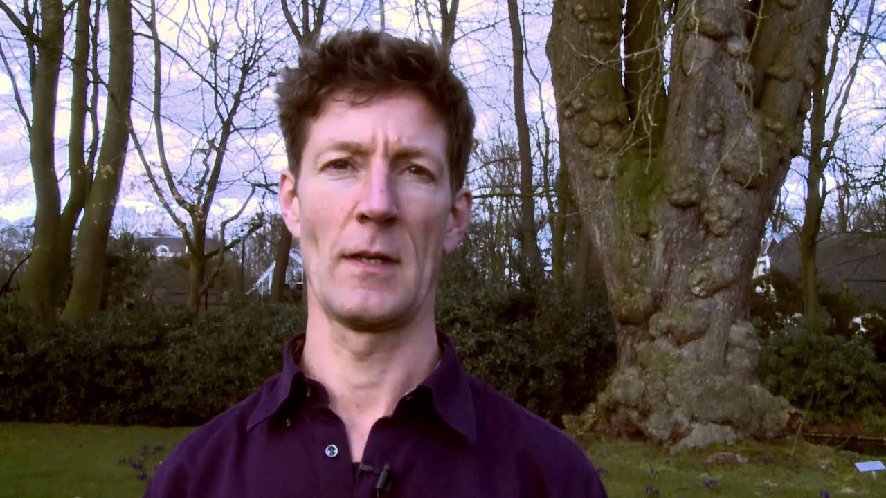 Erwin van den Nieuwendijk Zaak van Groei camera iphone 8 plus apk