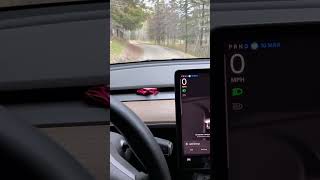 id full self drive all over the world if I could #selfdrive #tesla