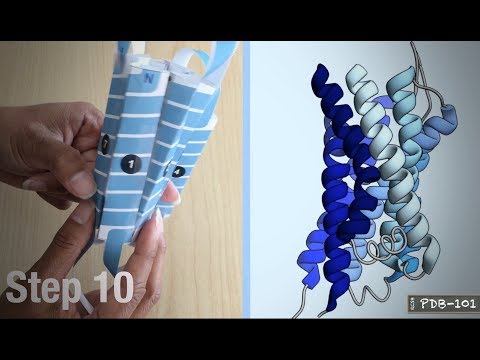 Vídeo: Què és el receptor de proteïnes AG?