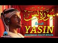 SURAH YASIN سُوْرَةُ يسٓ SOOTHING RECITATION THAT HEALS THE HEART AND BRINGS CALMNESS TO THE SOUL.