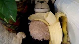 Webkinz Craziness on the Stairs - Part 3