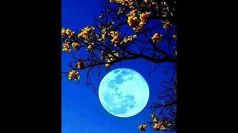 تلاوة خاشعة بصوت الشيخ ابوبكر مومني صلاة الشفع 13 رمضان 1438 هـ