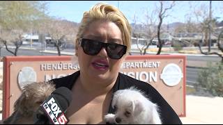 Henderson domestic violence victim returns to thank officers who saved her life