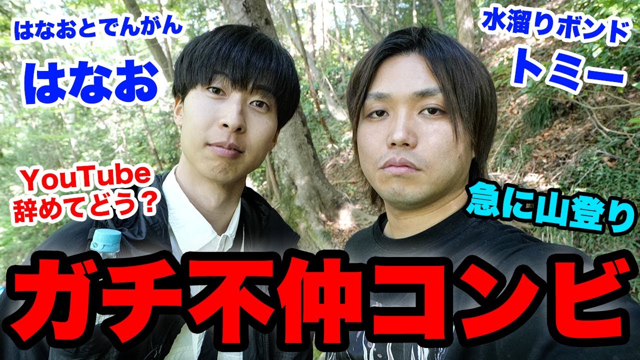 水 溜り ボンド 解散