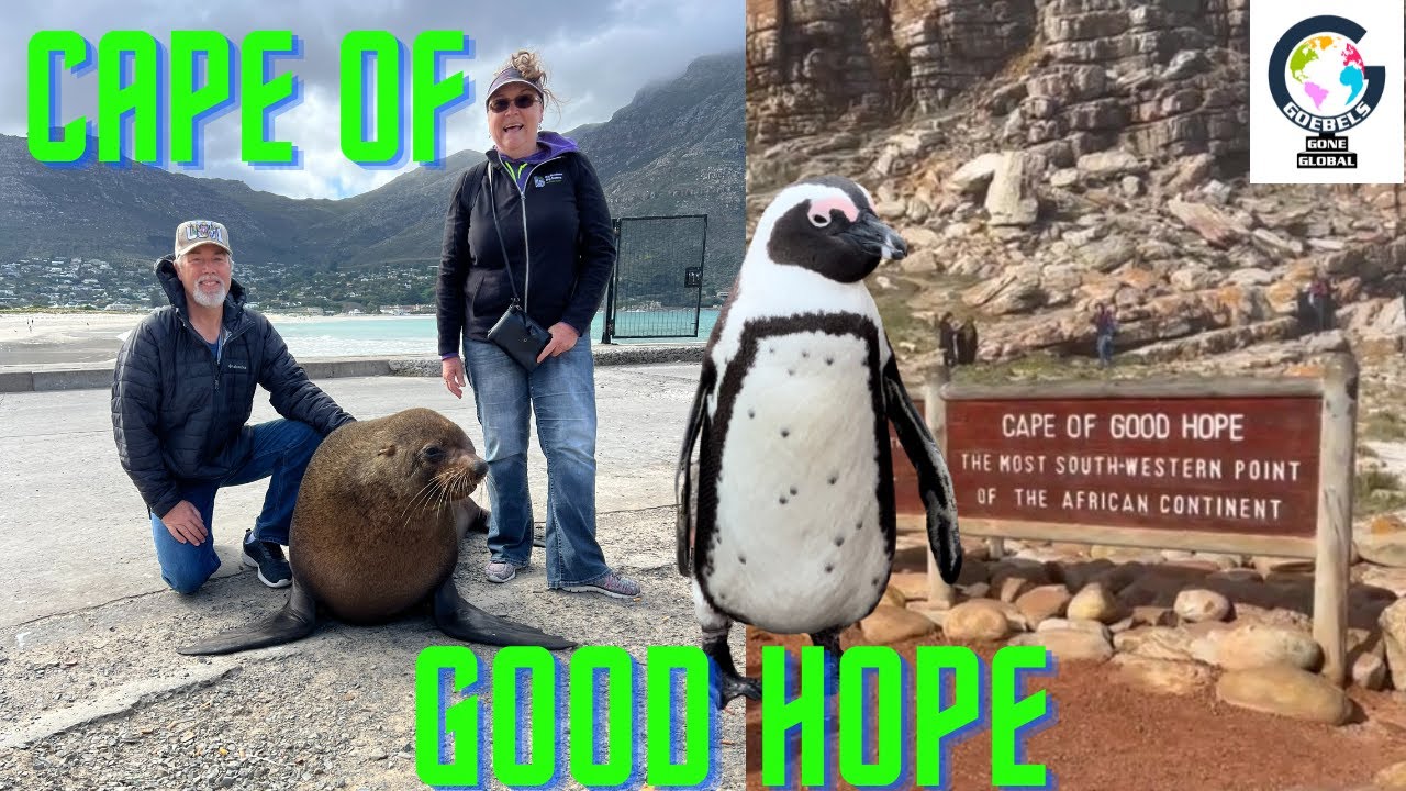 Hout Bay & Cape of Good Hope Ep. 15 YouTube
