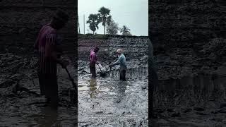 Optimize your manual mud excavation process using collaborative lifting methods