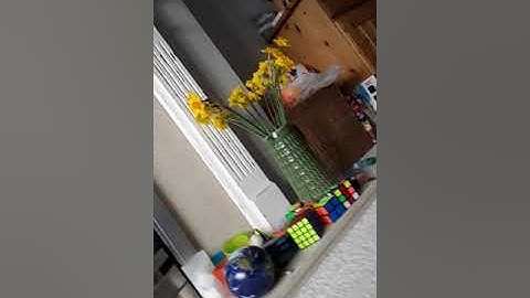 Snap Circuits Junior, Project #2, DC Motor & Switch.