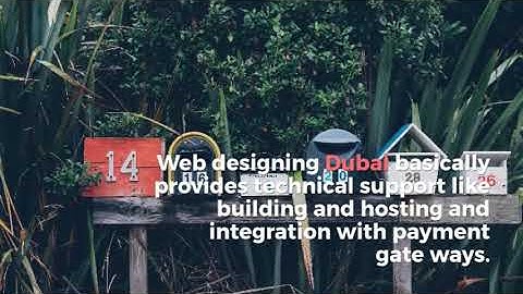 ecommerce website development Dubai