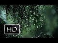 Sonido de la Lluvia y Truenos HD