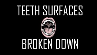2- Teeth Surfaces